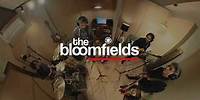 THE BLOOMFIELDS - I'M A BELIEVER ( THE MONKEES COVER )