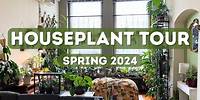 Houseplant Tour | Spring 2024 (200+ Plants)