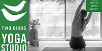 20 Minute Morning Vinyasa - Rise and Stretch Series (Part 1)