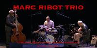 Marc Ribot Trio - Fat Man Blues (D'Jazz Nevers 2011 extrait)