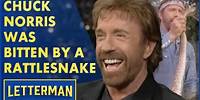 Chuck Norris Was Bitten By A Rattlesnake...Five Days Later The Rattlesnake Died | Letterman