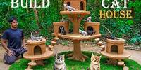 Building a Cat House for a Rescued Kitten - Heartwarming Transformation
