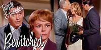 Full Episodes I The Stephens' Neighbors And Friends I TRIPLE FEATURE | Bewitched
