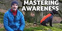 Mastering Awareness in Landscape/Woodland Photography