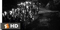 Frankenstein (7/8) Movie CLIP - The Torch-Wielding Mob (1931) HD
