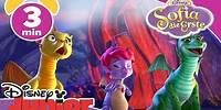Sofia die Erste - Clip: Drachen Party | Disney Junior