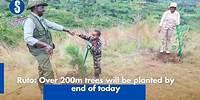 Ruto Over 200m trees will be planted by end of today