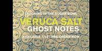 Veruca Salt - Laughing In The Sugar Bowl (Music Only)