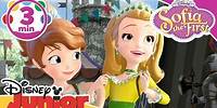 Sofia the First | The New School Song 🎶 | Disney Junior UK