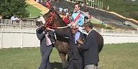 Faces of Africa - Horse Racing For Unity, Part Two (Promo)