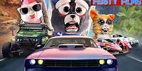 Fast and Furry-ous: Feisty Pet High-Speed Chases!