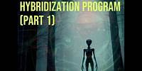 Simulated Realities - Hybridization Program Part 1