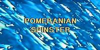 Alvvays - Pomeranian Spinster [Official Audio]