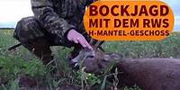 Bockjagd mit dem RWS H-Mantel-Geschoss: Hält die Jagdmunition im Praxistest was sie verspricht?