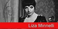 Liza Minnelli: Old Friends