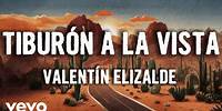 Valentín Elizalde - Tiburón A La Vista (Letra/Lyrics