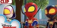Spidey's Web-Spinner Boots ⚡️ | Marvel's Spidey and his Amazing Friends | @disneyjunior