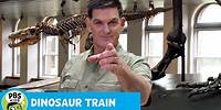 DINOSAUR TRAIN | Dinosaur Discoveries: Camptosaurus | PBS KIDS