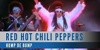 Red Hot Chili Peppers - Dani California (Official Music Video)