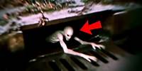 13 Scary Videos To Give You NIGHTMARES!