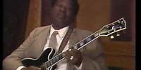 BB King | Salute to Black Musicians