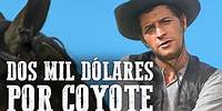Dos mil dólares por Coyote | Película del oeste | Español