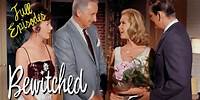 Full Episodes I The Stephens And Friends I DOUBLE FEATURE I Bewitched