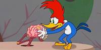 Woody vs His Brain! | Woody Woodpecker
