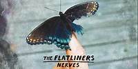 The Flatliners- Mud