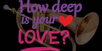 How Deep Is Your Love (Flgh.-Cover)