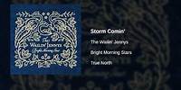 The Wailin' Jennys - Storm Comin'