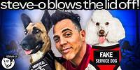 The Shocking Reason There Are So Many “Service Animals” | Steve-O