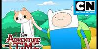 Little Cat Prince | SATURDAY COMPILATION | Adventure Time | Cartoon Network