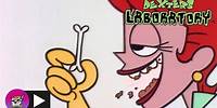 Dexter's Laboratory | Survival of the Fittest | Cartoon Network
