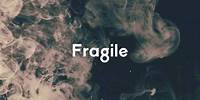 Fragile 2020 | Colourblind