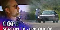Undercover Narcotics Operation | Cops: Full Episodes