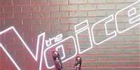 Qui remportera le Trophée The Voice ? RDV ce soir dès 21h10 sur TF1 & TF1+ ✌️ #TheVoice #Finale