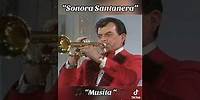 “Sonora Santanera”- 🎵Musita🎵 #sonorasantanera #music #mexico #musica #memories #song