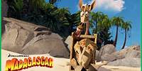 Melman Está Preso na Caixa! | DreamWorks Madagascar em Português