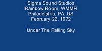 Bonnie Raitt 10 - Under The Falling Sky (Jackson Browne)
