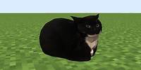 maxwell the cat in minecraft