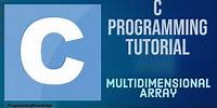 C Programming Tutorial for Beginners 21 - Multidimensional Array in C