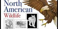 North American Wildlife Coloring Book by Tim Jeffs Flip-Through Video