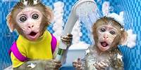 Monkey Nana goes to the toilet and plays with Ducklings in the swimming pool | Monkey Nana