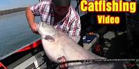 Landing a nice blue catfish on the Tennessee River