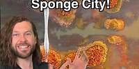 Could sponge cities be the solution to fighting flooding? #shorts