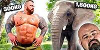STRONGMAN Swims with ELEPHANTS & Chimps! | ft Brian Shaw
