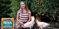 Ein Herz für Hühner | Information für Kinder | Nina und die Haustiere