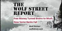 Free Money Turned Brains to Mush. Now Some Banks Fail