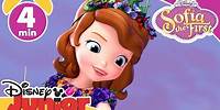 Sofia The First | The Crown of Blossoms | Disney Junior UK